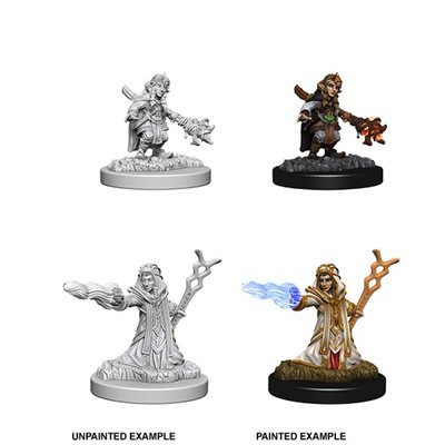 Nolzurs Marvelous Miniatures - Gnome Wizard